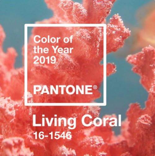 2019 trend szne: l korall